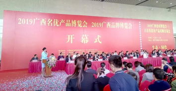 廣西通靈大峽谷閃耀2019年國家級(jí)博覽會(huì)，助推旅游品牌升級(jí)