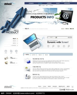 韓國(guó)數(shù)碼科技網(wǎng)頁(yè)設(shè)計(jì) 創(chuàng)新理念與專業(yè)實(shí)踐